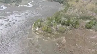 Bulls Bay, Cape Romain, and the Sewee Shell Ring