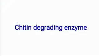 Chitin degrading enzyme |Microbiology |Biochemistry 