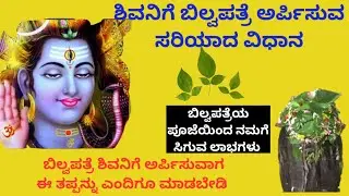 ಶಿವನಿಗೆ  ಸರಿಯಾಗಿ ಬಿಲ್ವಾಪತ್ರೆ ಅರ್ಪಿಸುವ ವಿಧಾನ  & ಉಪಯೋಗ | Importance of Bilva Patra in Shiva Pooja