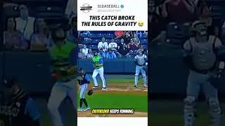 This catch shouldn't exist 🤯 #baseball