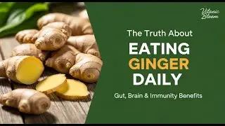 The Truth About Eating Ginger Daily: Gut, Brain & Immunity Benefits | Health Tips | Vitanic Bloom