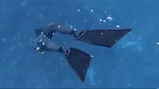 Spearfishing Kanaky (New Caledonia)