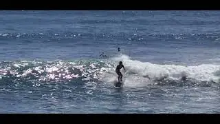 El salvador surfing playa el sunzal 