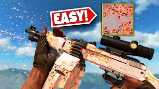 How I Got Flora Camo LMG's Fast In Cold War
