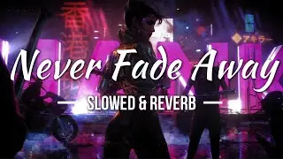 P. T. Adamczyk & Olga Jankowska (SAMURAI Cover) - Never Fade Away [Slowed & Reverb] | Ren㊙️