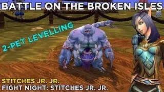 Stitches Jr. Jr. - 2 Pet Levelling Team (Fight Night)