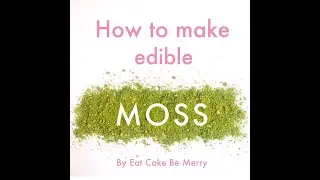 How To Make Edible Moss