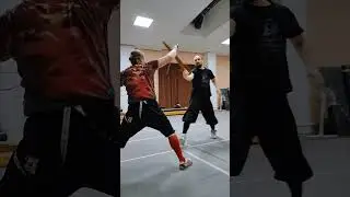 Небольшая часть индивидуальной тренировки. #longsword  #hema #спорт #fencing #dussack
