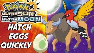 Как быстро вылупить яйца в Pokemon Ultra Sun и Ultra Moon