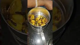 WEEKDAY WALA LUNCH BOX PACKING●OFFICE LUNCH BOX IDEAS DAY-673#shorts#lunchbox#youtube#homemade#food