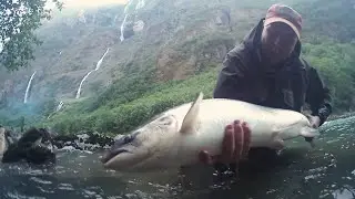 Fly Fishing in Norway - Between the River and Me - Salmon Fishing -  Fiskejegeren Production