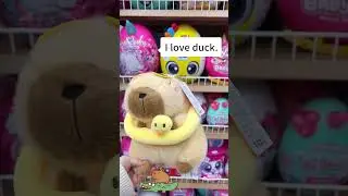 Hey Capybaras, What do you like best?  #cute #capybara #plushtoys