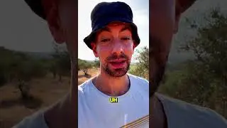 Евреи на Западном берегу защищают своих палестинских друзей.