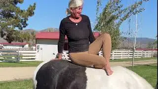 Horse Yoga Bareback at our Beyond the Saddle Holistic Clicker Training Program