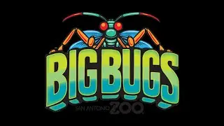 Big Bugs at San Antonio Zoo