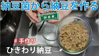 【自家製】ひきわり納豆の作り方。粉末納豆菌を使用。