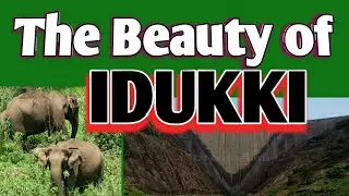 The Beauty  of Idukki  #Shaji vs Shaji# Nature Beauty