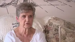 Cats Removed from Property of Elderly Woman Sentenced to Jail After Feeding Strays
