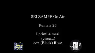 SEI ZAMPE ON AIR per Radio Derbi Web - Puntata 25 - I primi 4 mesi circa    con Black Rose