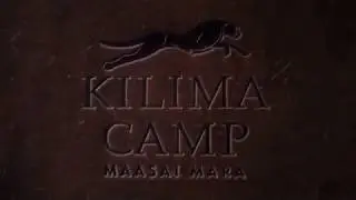 Kilima Camp   Masai Mara