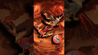 MEGA TALONFLAME Se lanz&oacute; al fuego&hellip; volvi&oacute; como leyenda