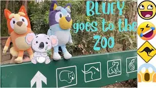 ‼️BLUEY AND BINGO AT THE ZOO!! 🦘🦘🦘🐨🐨🐨🦜🦜🦜