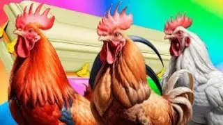 Funny Roosters - Coffin Dance Song *Part 13* (COVER) 