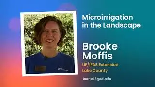 How to Use Microirrigation in the Landscape