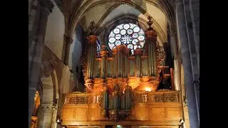 Concert Silbermann organ Saint-Thomas Strasbourg: De Grigny, Manneke, Van Noordt, Sweelinck, Bach