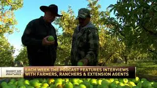 Farm Traveler on the NEWS Promoting Season 2