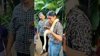 അയ്യോ അമ്മച്ചീ പാമ്പ് 🐍😂|Farm Villa Chavakkad 🐍| #family #shorts #youtubeshorts #love