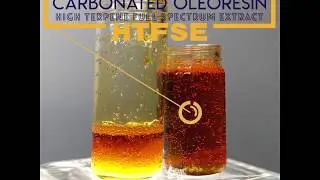 HTFSE: A Carbonated HT Oleoresin