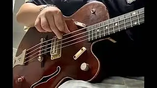 Gretsch bass 1964 그레치 베이스