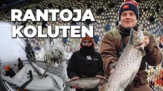 TAIMEN RANNASSA | VETOUISTELUA