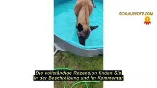 Produktbewertung Navaris Hundepool Planschbecken faltbar - Ø 160 x 30 cm - Hunde Pool aus Kunststoff