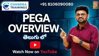 Class-5 PEGA Overview#pega