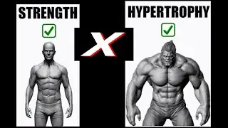 WHY THEY NEVER TOLD YOU THIS: THE REASON YOU ARE NOT GAINING MUSCLE