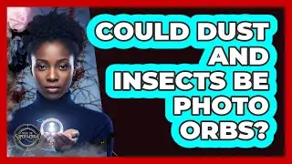 Could Dust And Insects Be Photo Orbs?