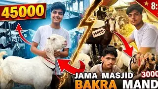 Jama masjid bakra mandi 2025🥰 mandi sasti ya mehengi? 200000 ka bakra😱#khizarqureshi #bakra #vlog