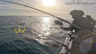 CATCH & RELEASE CHOCO XXL EQUIPA SHIMANO - SET&Uacute;BAL BARCO DICAS DO BEJA TEAM MT