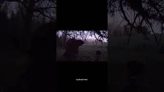 My First Turkey Hunt: A Memorable Experience of Skill and Strategy