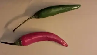 Chilly pepper challenge