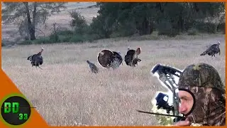 Bow Hunting Turkey for The First Time Ever!