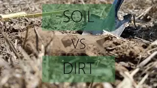 Soil Versus Dirt