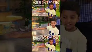 കിളിക്കുഞ്ഞും ഞാനും 😁❤️🥰#birdspark #renvisworld #angrybirds #parrot #song