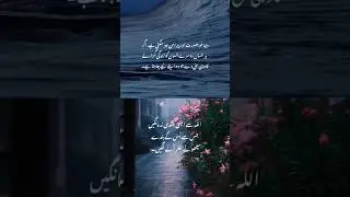Peaceful World 🌍 | Rights & Humility Reminder | Heart Touching Urdu Poetry | Rahe Haq | #shorts