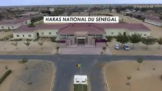 Publi-Reportage:  HARAS NATIONAL DE KEBEMER