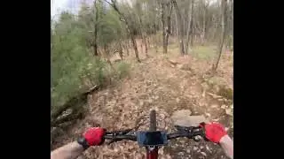 Yt jeffsey core 4 downhill