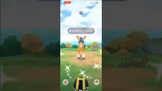 ✨Шайни Мадбрей ПОЙМАН В Pokemon Go!✨ #шорты #покемон