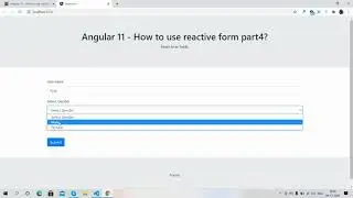 Angular 11 - how to use reactive form part4 ? Reset Form